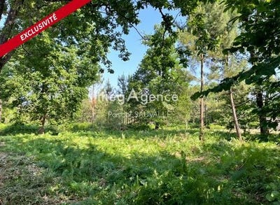 /international/fr/chancelade-aquitaine-120097558484/