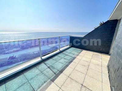 /international/fr/sarzeau-brittany-310107680334/