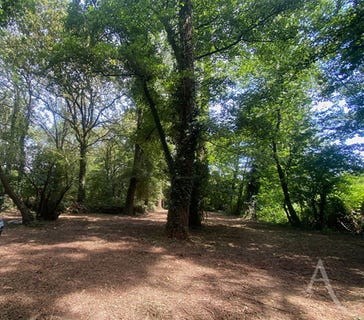 /international/fr/montreverd-pays-de-la-loire-310104462429/