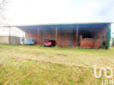 /international/fr/negrepelisse-midi-pyrenees-310103083934/