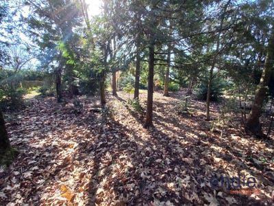 /international/fr/commentry-auvergne-310098100733/