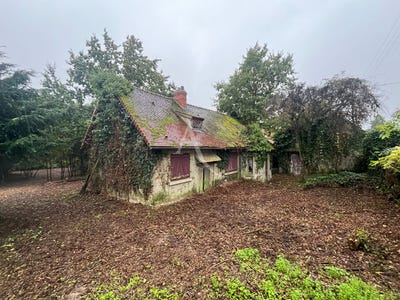 /international/fr/dourdan-ile-de-france-310108758201/