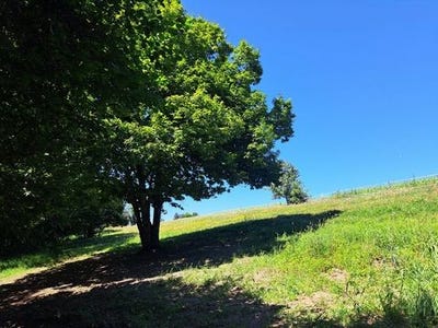 /international/fr/juillac-limousin-120094741148/