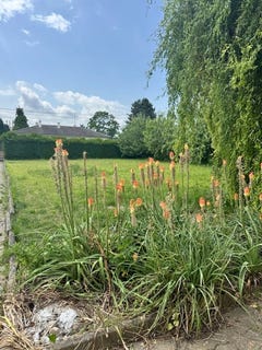 /international/fr/lutterbach-alsace-310100485681/