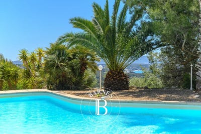 /international/fr/bandol-provence-alpes-cote-d-azur-310108454123/