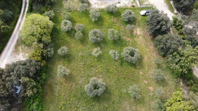 /international/fr/saint-siffret-languedoc-roussillon-310120031609/