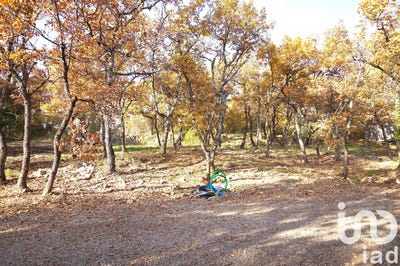 /international/fr/forcalquier-provence-alpes-cote-d-azur-310096037800/