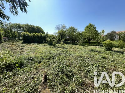 /international/fr/montournais-pays-de-la-loire-310108044927/