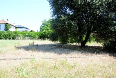 /international/fr/montelimar-rhone-310100458366/