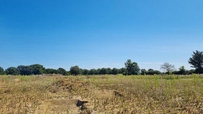 /international/fr/savenes-midi-pyrenees-310106292897/