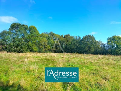 /international/fr/st-gervais-pays-de-la-loire-310104466659/