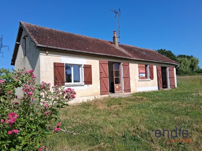 /international/fr/couleuvre-auvergne-310108861046/