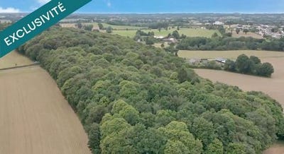 /international/fr/pontmain-pays-de-la-loire-310099848303/?lang=zh-tw