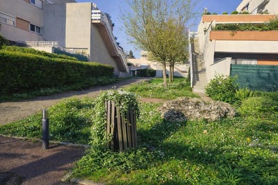 /international/fr/savigny-le-temple-ile-de-france-310107972386/