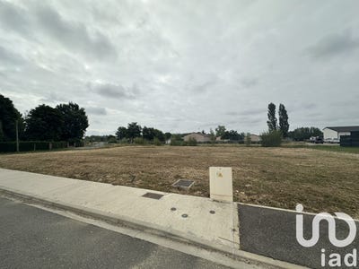 /international/fr/negrepelisse-midi-pyrenees-310101031853/