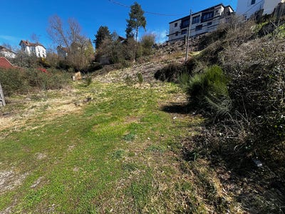 /international/fr/epinal-lorraine-310104462945/