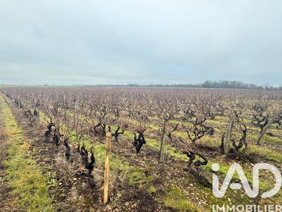/international/fr/vernou-sur-brenne-centre-val-de-loire-310105058299/