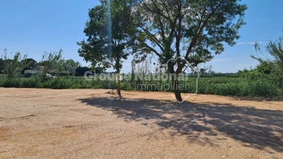 /international/fr/arles-languedoc-roussillon-310108328672/