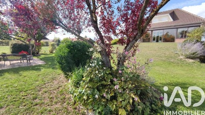 /international/fr/saint-lye-ardennes-310108400183/