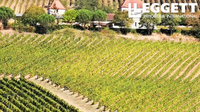 /international/fr/saint-mont-rhone-120082191270/