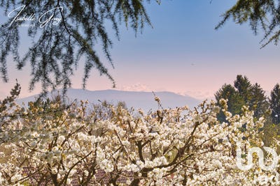 /international/fr/divonne-les-bains-rhone-310100663266/?lang=zh-cn