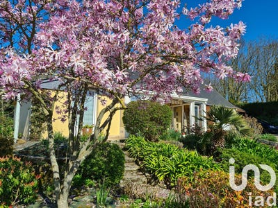 /international/fr/saint-quay-portrieux-brittany-310098807200/