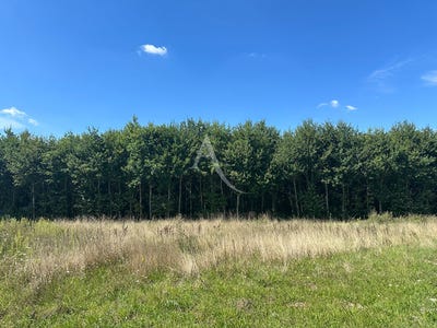 /international/fr/boigny-sur-bionne-centre-val-de-loire-310104471107/