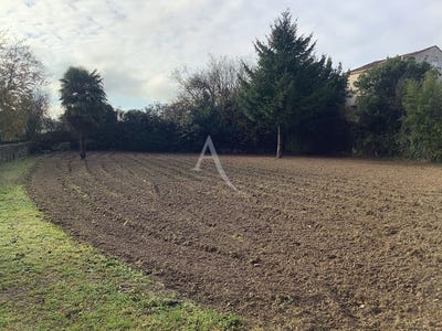 /international/fr/longeves-pays-de-la-loire-310104462256/