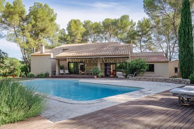 /international/fr/assas-languedoc-roussillon-310108763941/?lang=it
