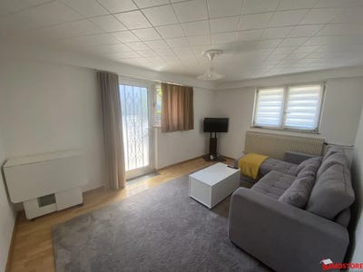 /international/fr/steinsoultz-alsace-310109126792/