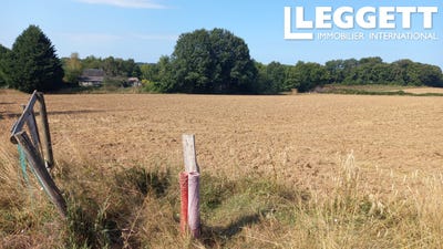/international/fr/saint-clement-charente-310101411018/