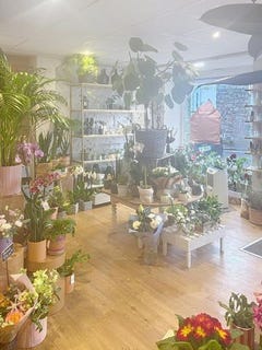 /international/fr/roscoff-brittany-310105407174/