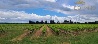 /international/fr/cairanne-provence-alpes-cote-d-azur-310108953266/