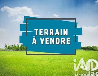 /international/fr/beaumont-louestault-centre-val-de-loire-310107320226/