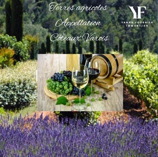 /international/fr/villecroze-provence-alpes-cote-d-azur-310101061123/