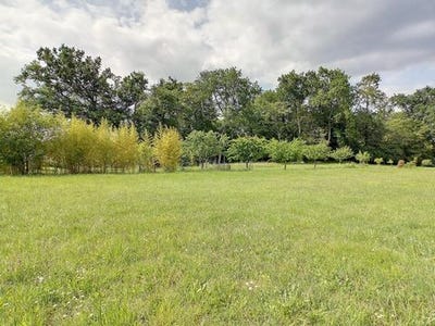 /international/fr/fargues-saint-hilaire-aquitaine-310106689453/