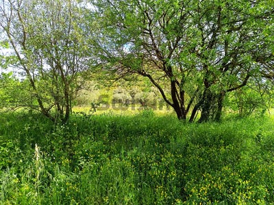 /international/fr/saint-bonnet-du-gard-languedoc-roussillon-310101278926/?lang=zh-tw
