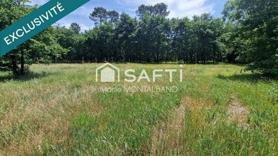/international/fr/saugnac-et-muret-aquitaine-310100175915/