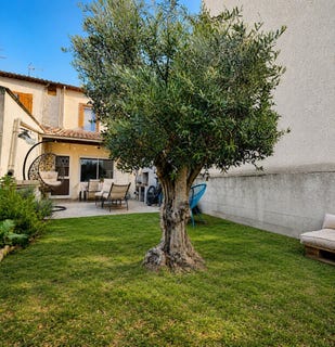 /international/fr/coursan-languedoc-roussillon-310109130474/?lang=th