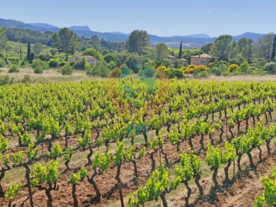 /international/fr/carces-provence-alpes-cote-d-azur-310109847986/