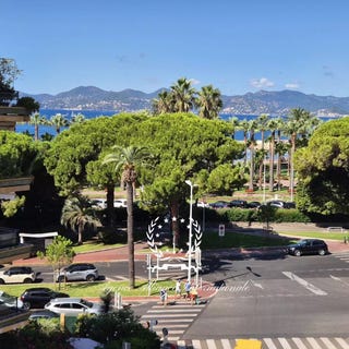 /international/fr/cannes-provence-alpes-cote-d-azur-310101229712/?lang=it