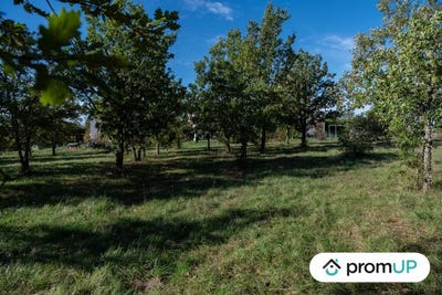 /international/fr/lalbenque-midi-pyrenees-310103176785/