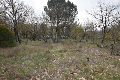 /international/fr/maraussan-languedoc-roussillon-310106295624/