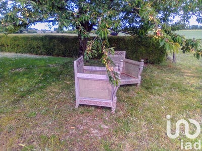 /international/fr/jarze-pays-de-la-loire-310100178023/