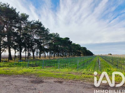 /international/fr/le-grau-du-roi-languedoc-roussillon-310105895920/