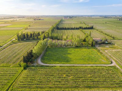 /international/fr/puicheric-languedoc-roussillon-310105073557/