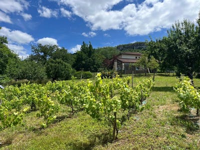 /international/fr/le-mas-d-azil-midi-pyrenees-310100576740/