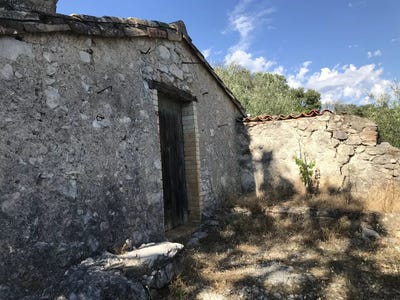 /international/fr/saint-hippolyte-du-fort-languedoc-roussillon-310108315368/
