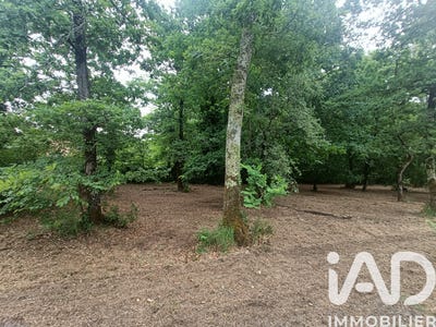 /international/fr/le-pian-medoc-aquitaine-310104129631/