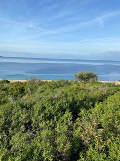/international/fr/saint-florent-corsica-310108971643/?lang=it